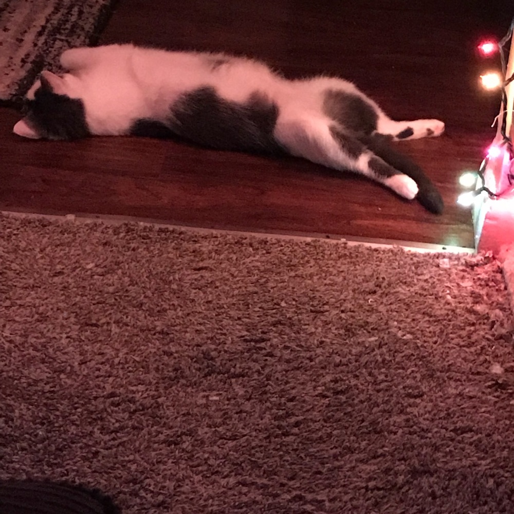 Meet your Posher, Danyel